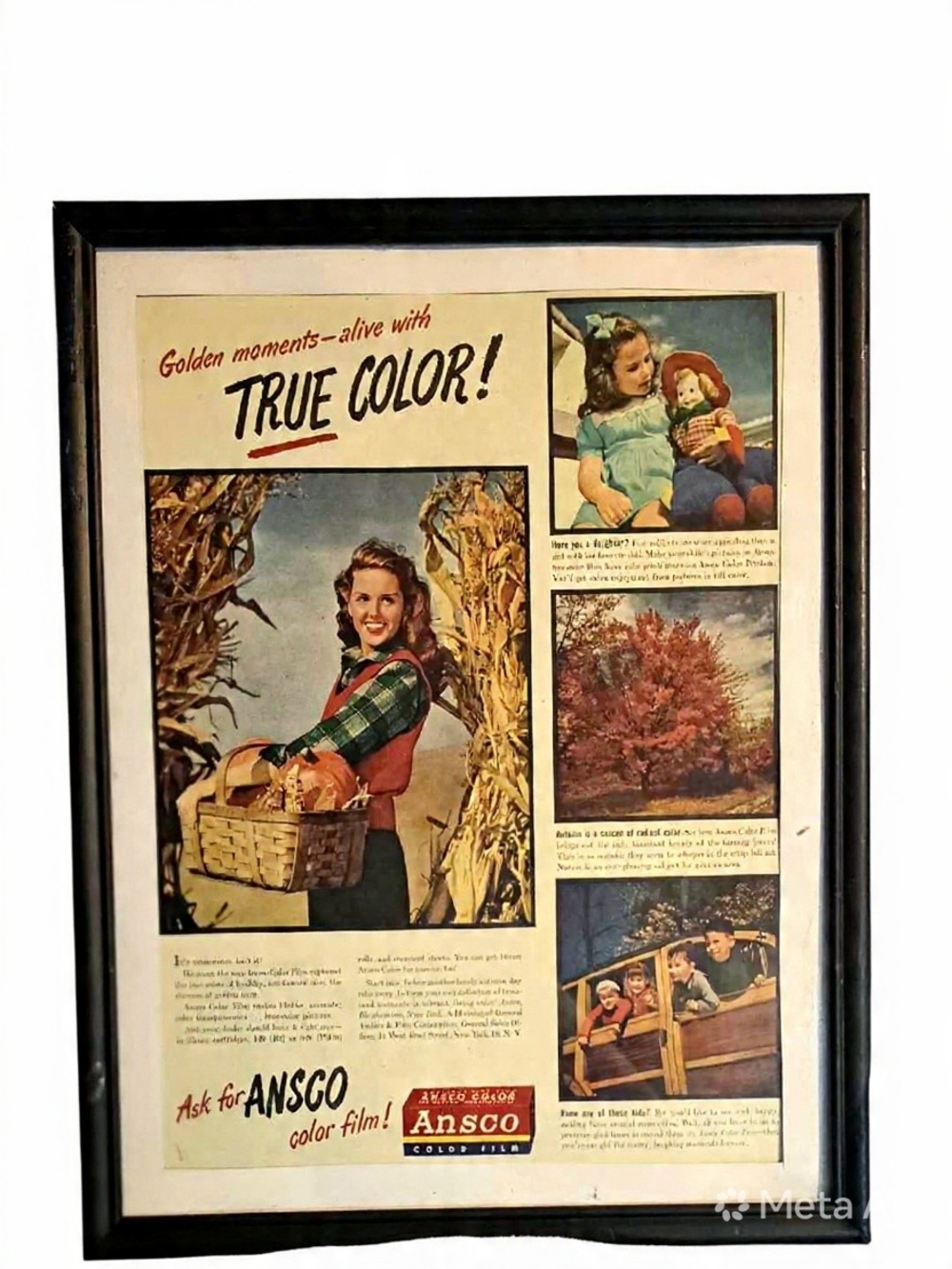 Framed 1948 vintage advertisement for Ansco color film 12"x14"